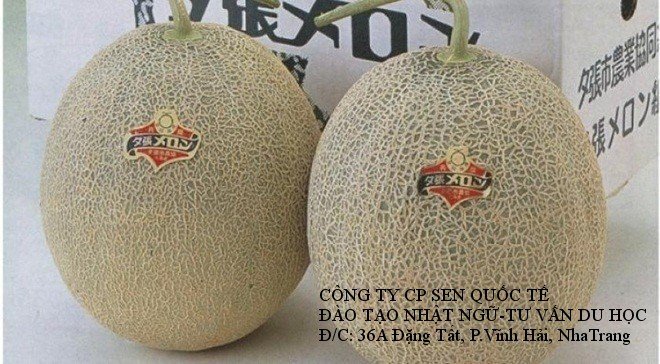 Dưa Yubari: 26.000 USD/2 quả
