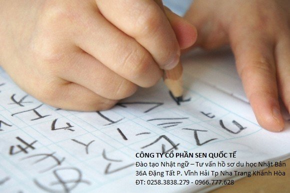 cach-hoc-viet-tieng-nhat-hieu-qua-1